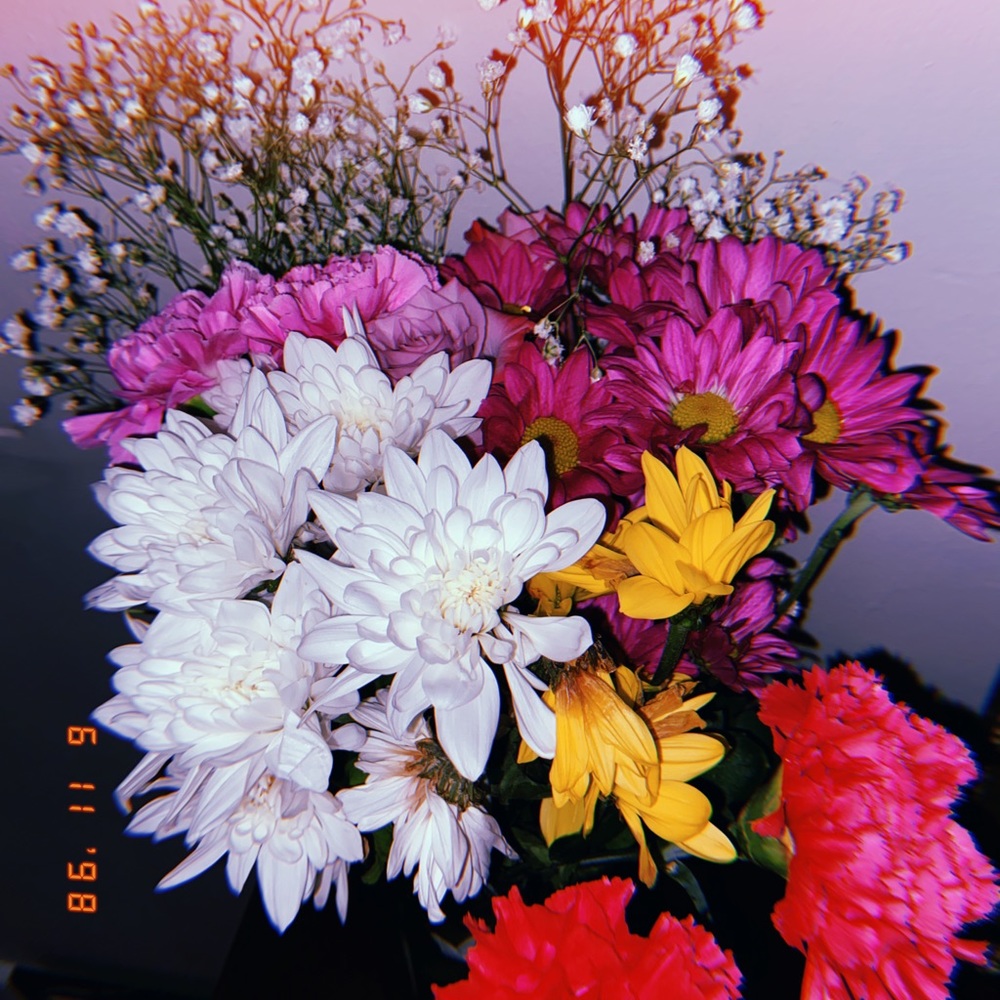 Meet your Posher, Emily